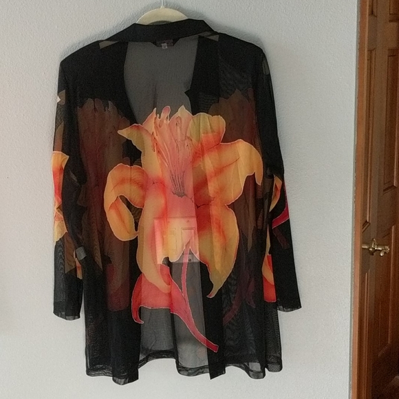 Sheer blouse - Picture 2 of 2